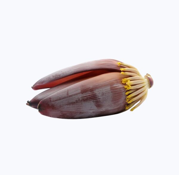 Banana Flower (Mocha)