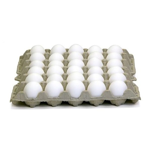 Eggs-30 pcs White Eggs